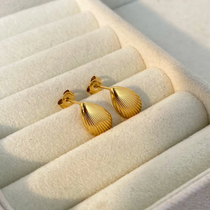 Shell Stud Earrings – Natural Summer Style | Twinolo
