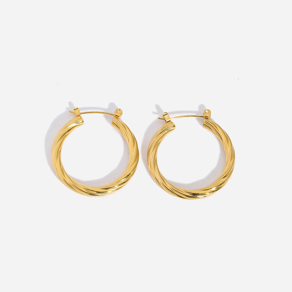 Women's steel hoop earrings N01