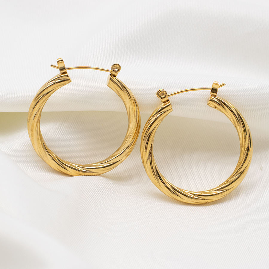 Women's steel hoop earrings N01